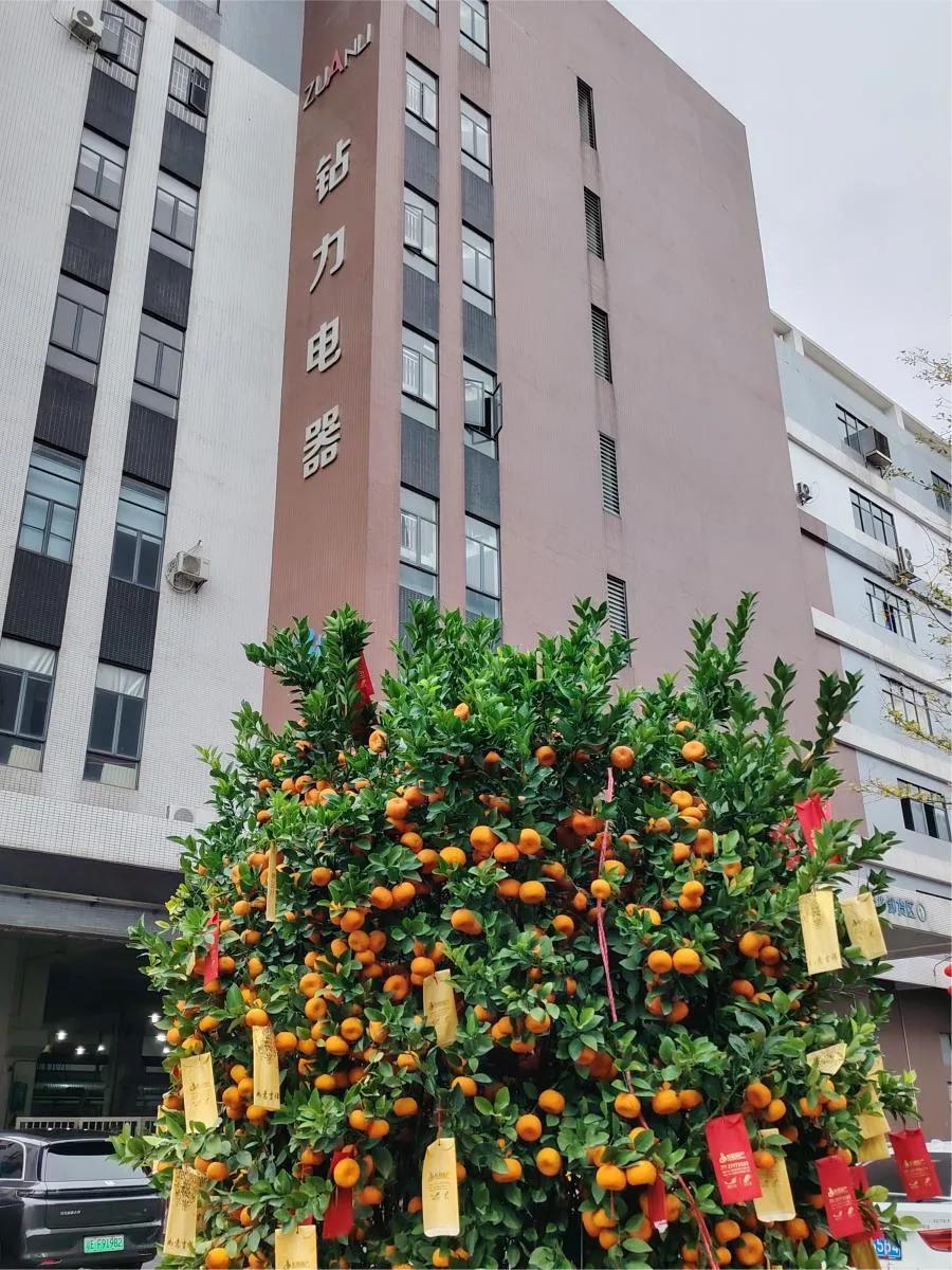 Ensimmäinen lähetys kiinalaisen uudenvuoden jälkeen: suuren vääntömomentin käänteisosmoosipumput Suuntaa ulkomaille - zuanli ro -pumppu!